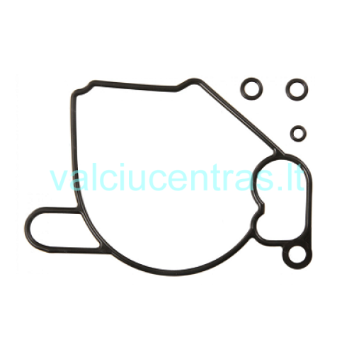 Karbiuratoriaus tarpinių komplektas Honda BF8-BF20 varikliams